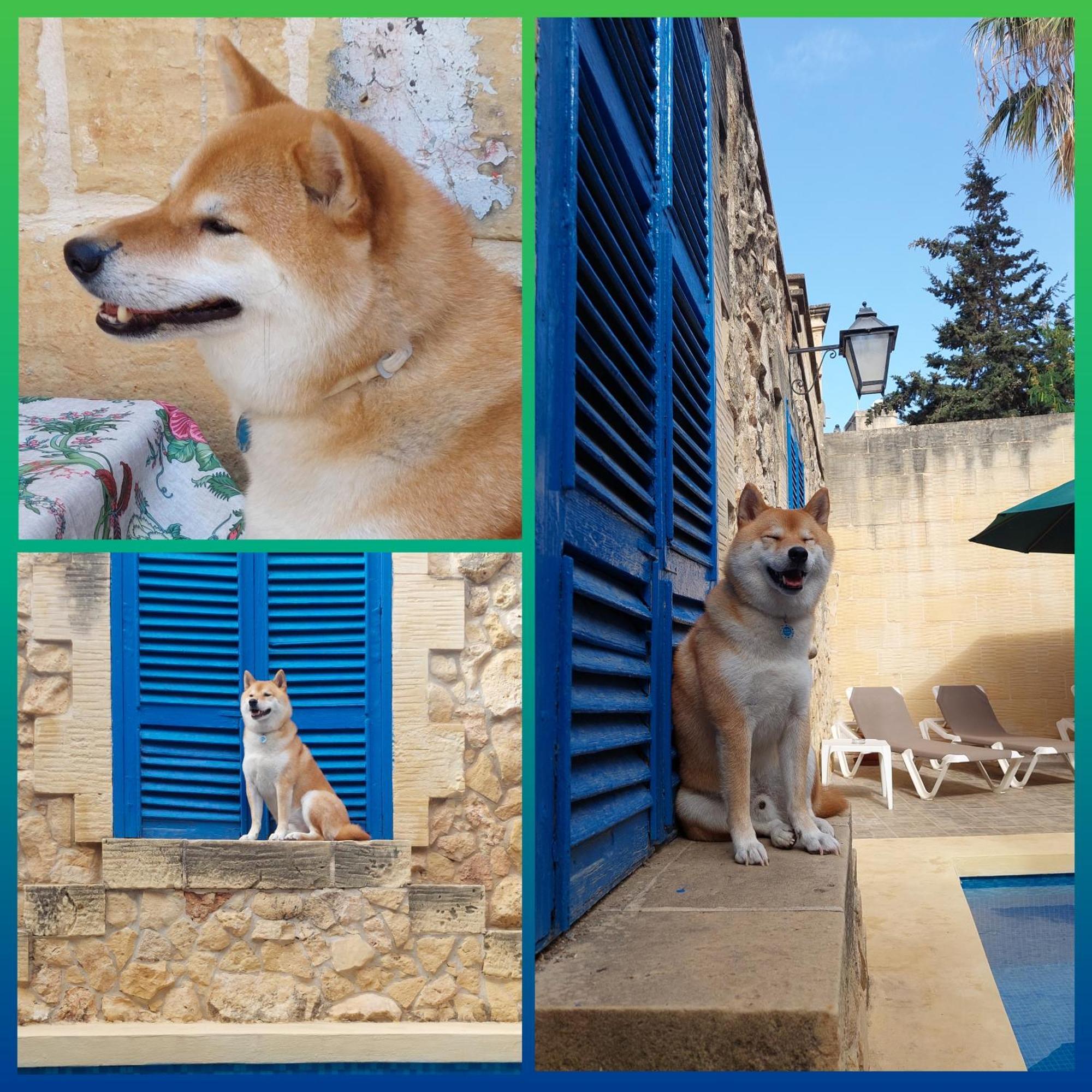 Mj Farmhouse B&B Xagħra Εξωτερικό φωτογραφία